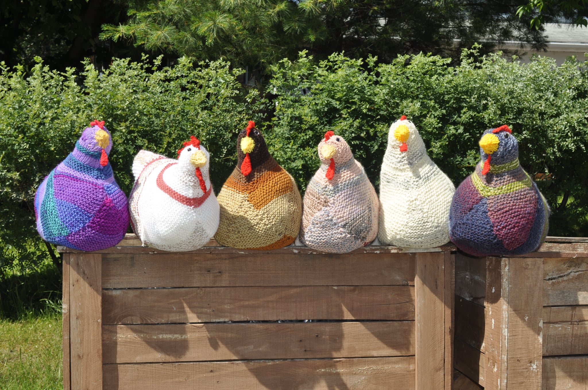 Rangée de poules tricotées, colorées, assises sur une clôture de bois