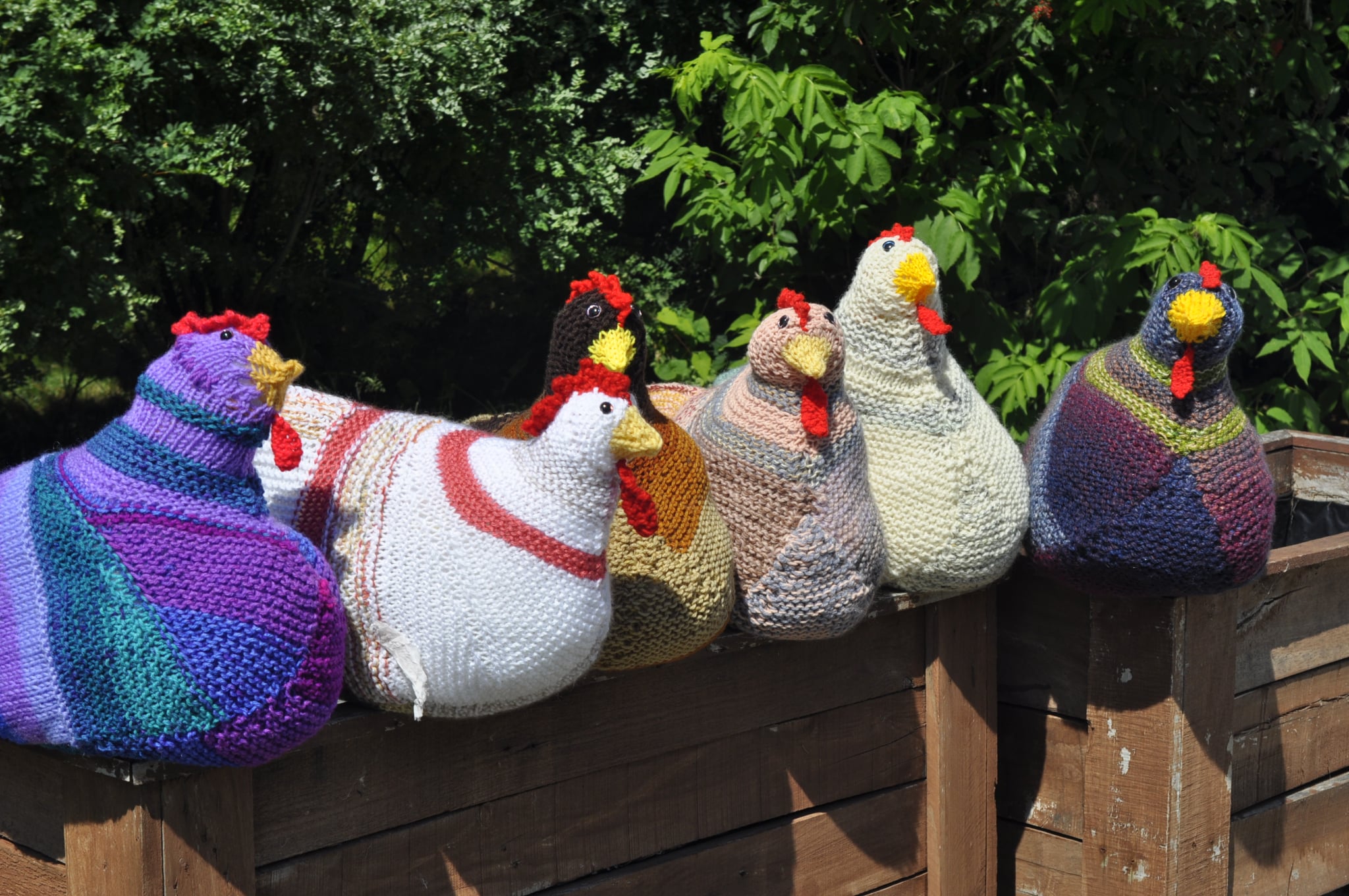 Gros plan sur les poules tricotées alignées sur une clôture